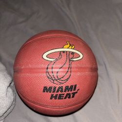 Mini Sized Basketball 