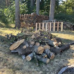 Free Wood 
