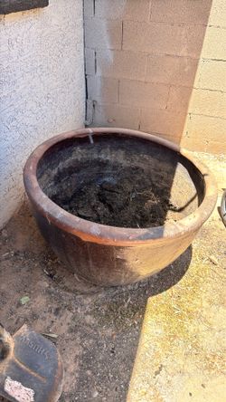 Pot