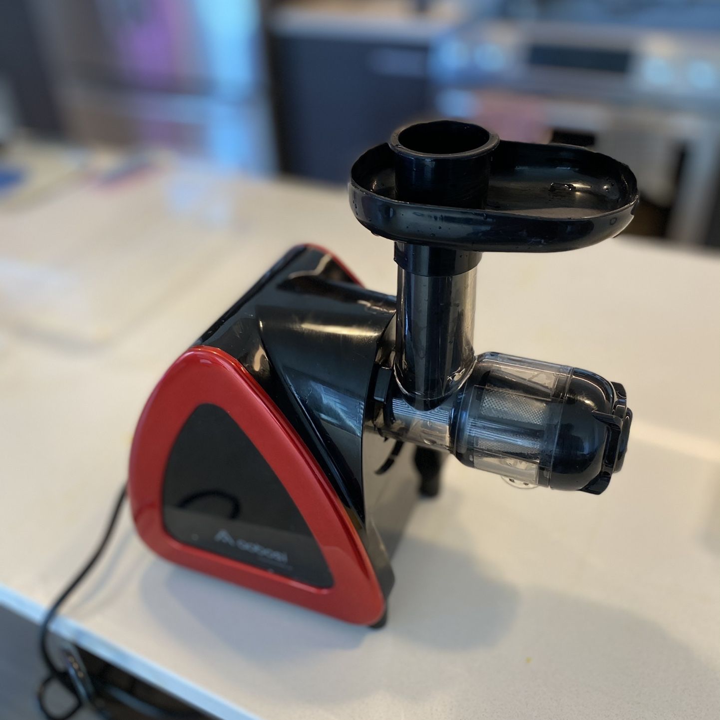 Masticating Juicer For Sale