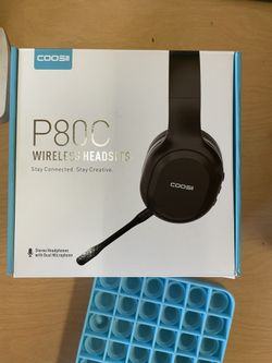 P80C Headset/Earphones
