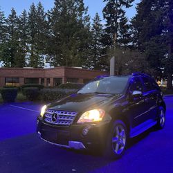 2010 Mercedes-Benz M-Class