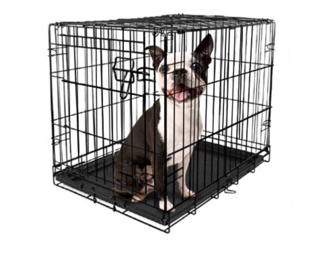 Vibrant Life Single-Door Folding Dog Crate with Divider, Small