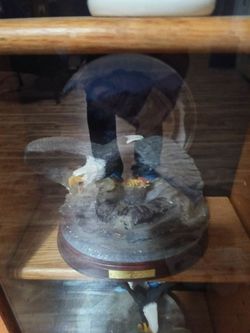 Snow globe