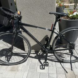 Ladies Giant Bicycle 