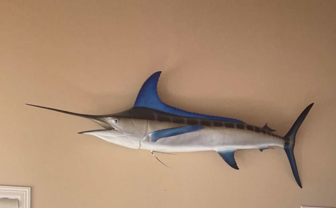 Breathtaking 9 Ft Stripped Marlin.