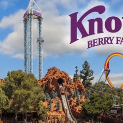 4 Knotts Berry farm digital Tickets Expire 7/31/2025