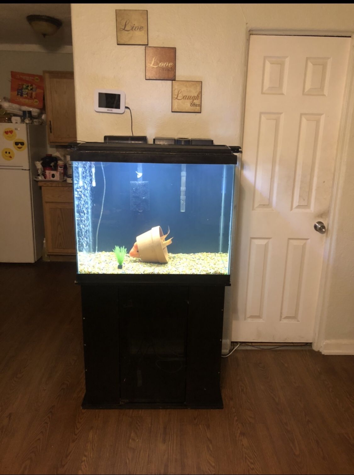 Fish tank