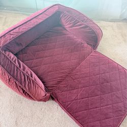 Dog Bed La-Z-Boy Fold Out Sleeper