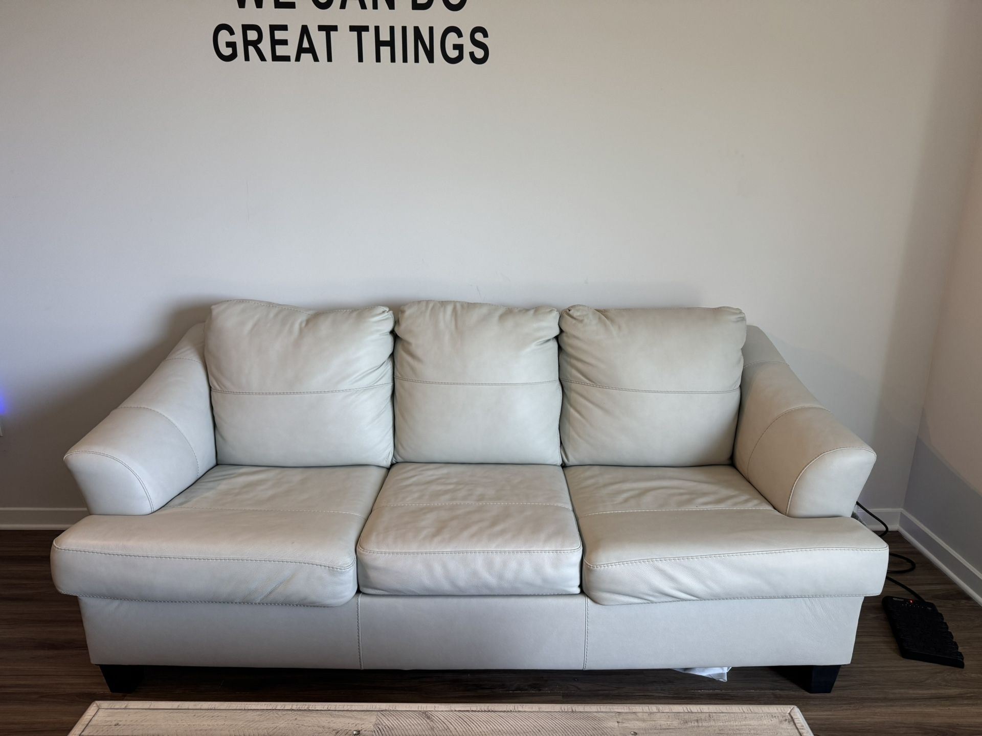 Leather Sofa Pull Out bed Couch