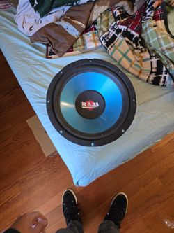 12 Inch Baja Subwoofer No Box