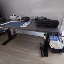 Electric Standing Desk with Storage Drawer – Modern Grey/Black