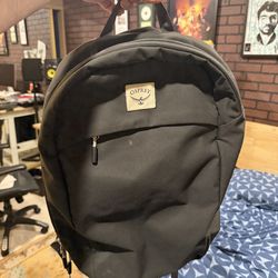 Osprey Laptop Backpack