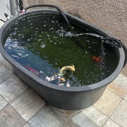 150 Gallon Pond 