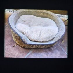 Expensive Dog Bed $15