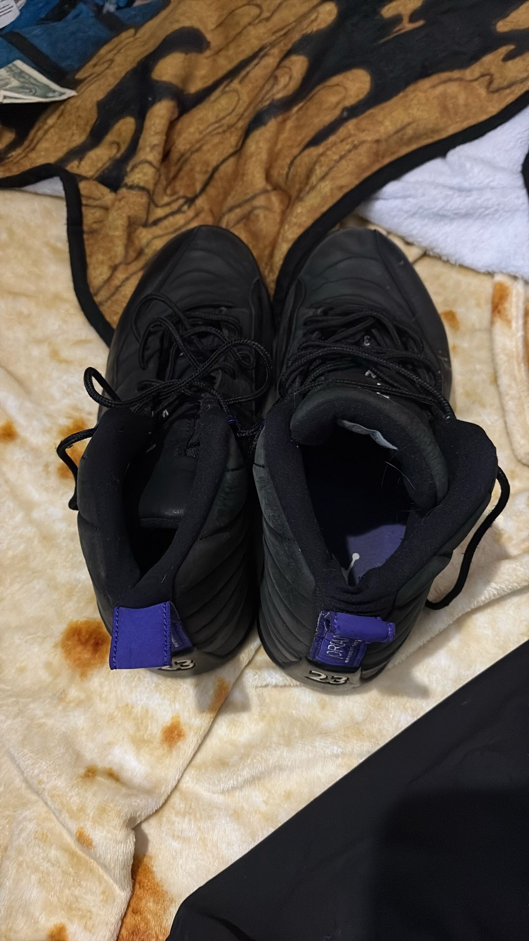 dark concord jordan 12