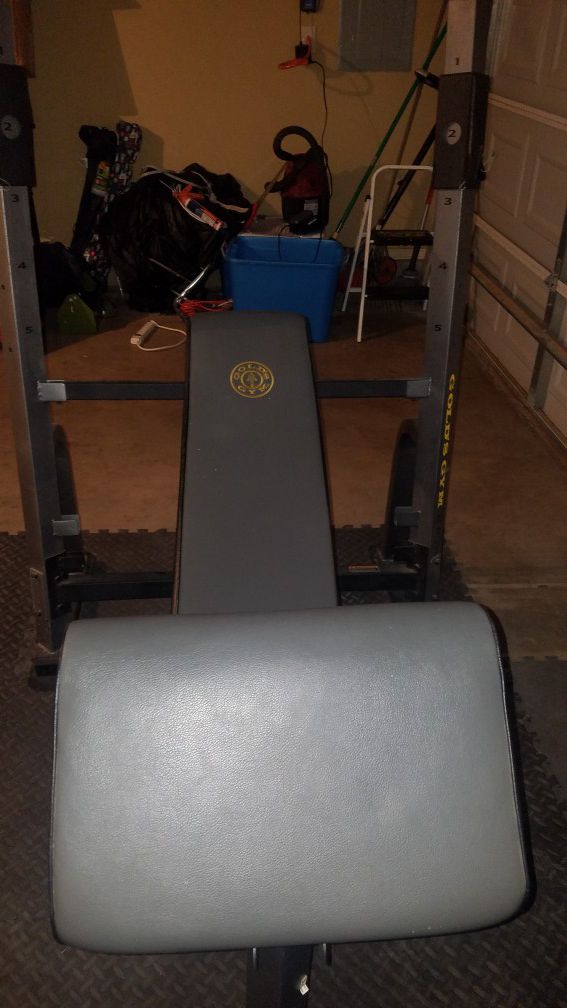 Golds Gym Olympic Bench