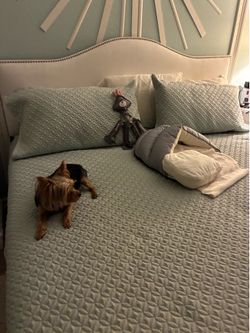 REDUCED PRICE - King bed