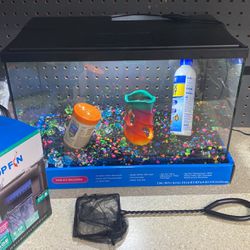 5 Gallon Glass Aquarium Kit