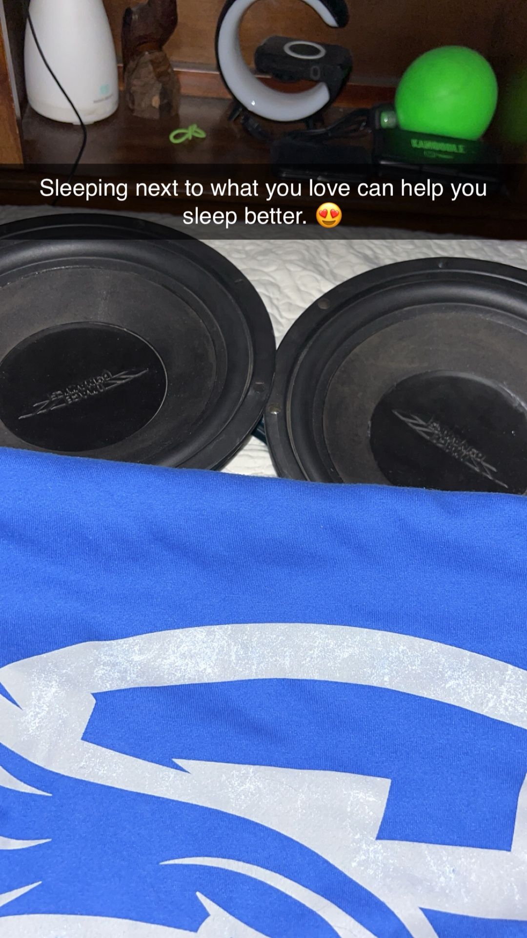 Image Dynamics IDQ10 V1 Rare Sq Subwoofers