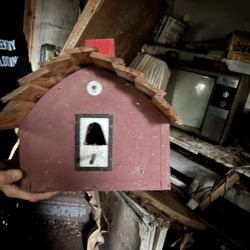 Bird House 