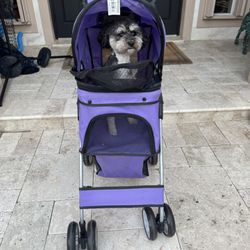 Dog Stroller