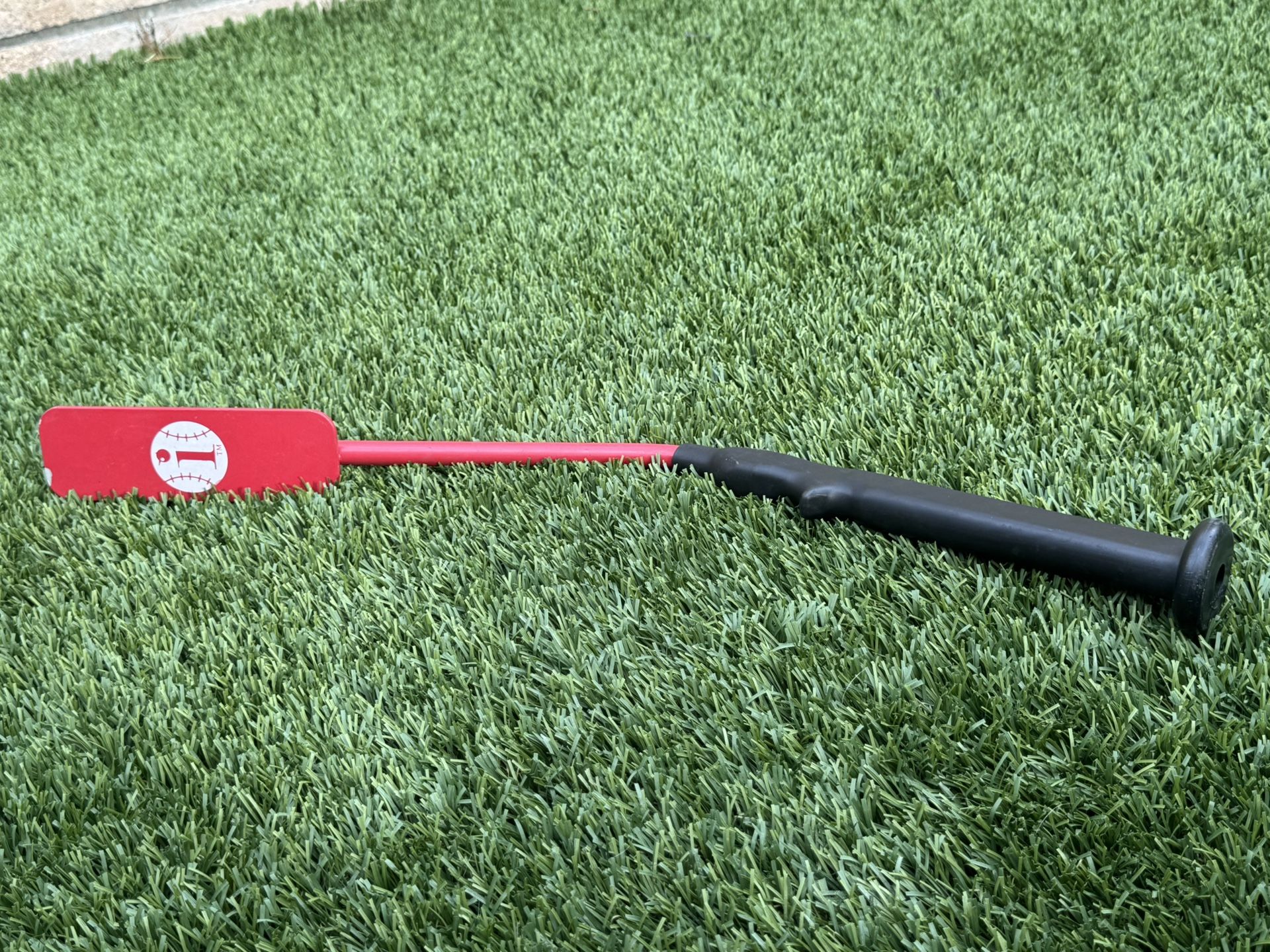 Insider Bat (used)