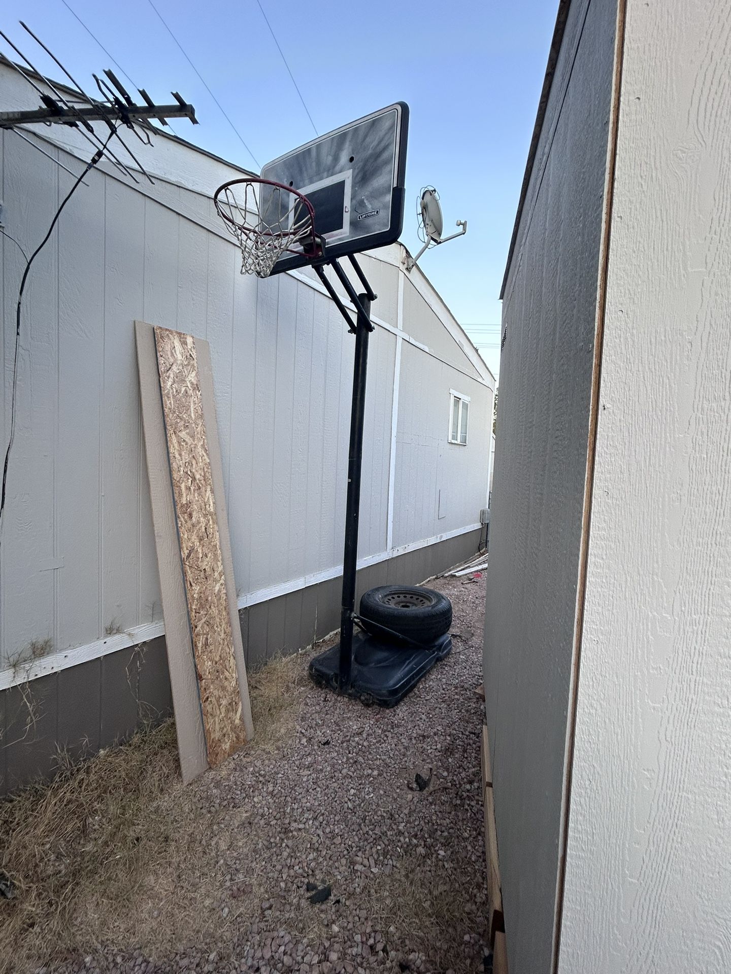 Lifetime Basketball Hoop