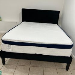Bed Frame 