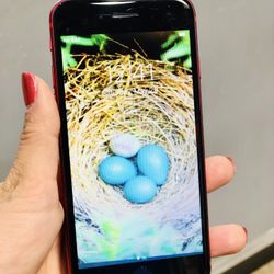 Factory unlocked iPhone 8 64Gb, store warranty 