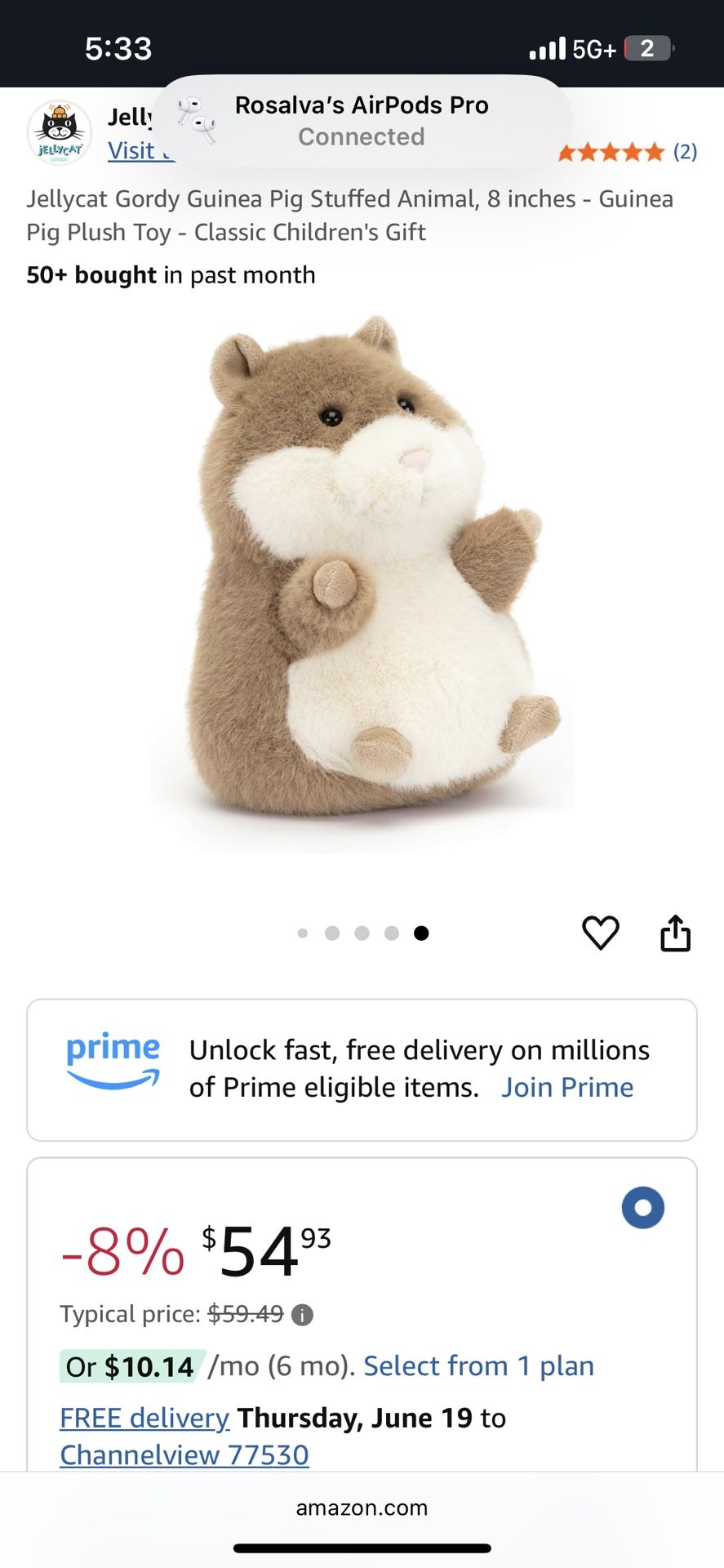 Guinea Pig Jelly Cat