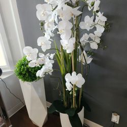 Planta De Piso ✨️