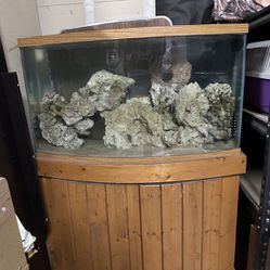 Saltwater Aquarium With Rock $140 Firm 