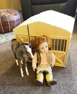 Barn, Horse, Girl