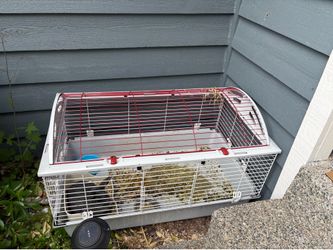 Rabbit cage and all the supplies.