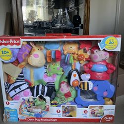 Fisher Price Discover N Grow Open Top Musical Gym