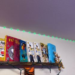 Action Figures And Books 