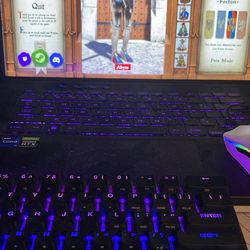 Gaming Laptop Comes With A Apex Steel Series Pro Mini And Glorious Model O Wireless!!!!