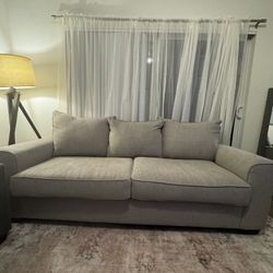 Grey Couch - $300
