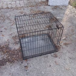 Dog Kennel