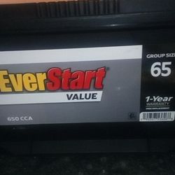 (New) EverStart Battery