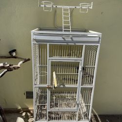 Bird Parrot Cage And Manzanita Perch 
