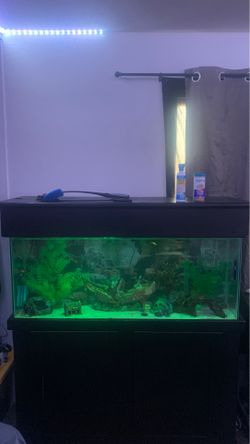 55 galloon Fish tank