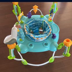 Baby Bouncer Toy