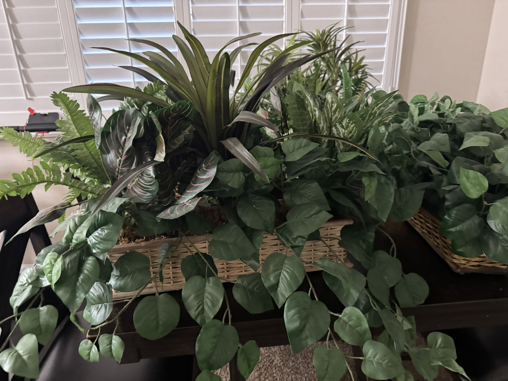 5 artificial green ledge plants $50 OBO