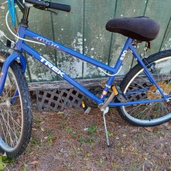Woman's  Bike $100