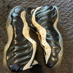 Nike Foamposites Concords 