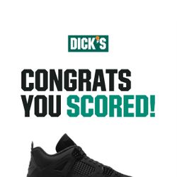 Jordan 4 Black Cat Size 10.5 New In Hand On Friday 