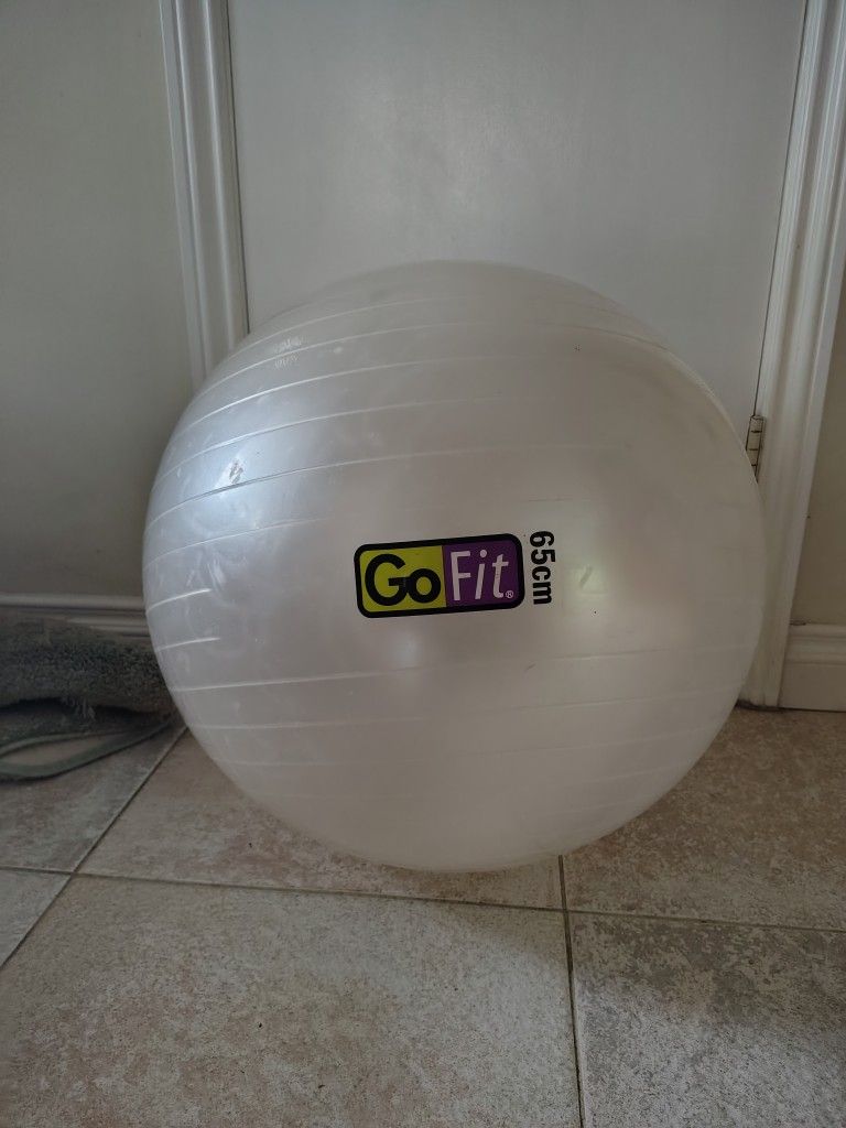 Exercise Ball 65cm (25.5")