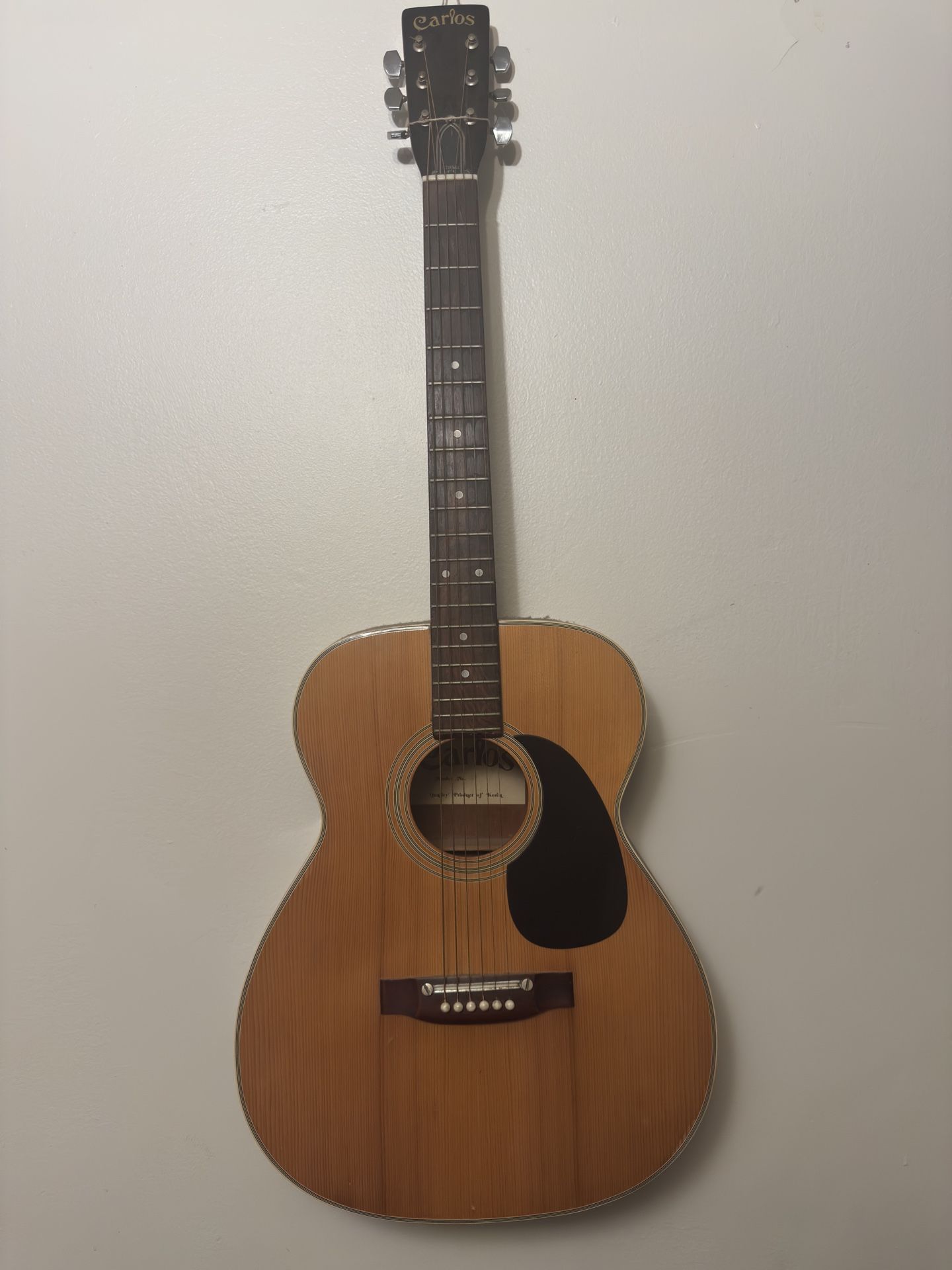 Carlos Guitar